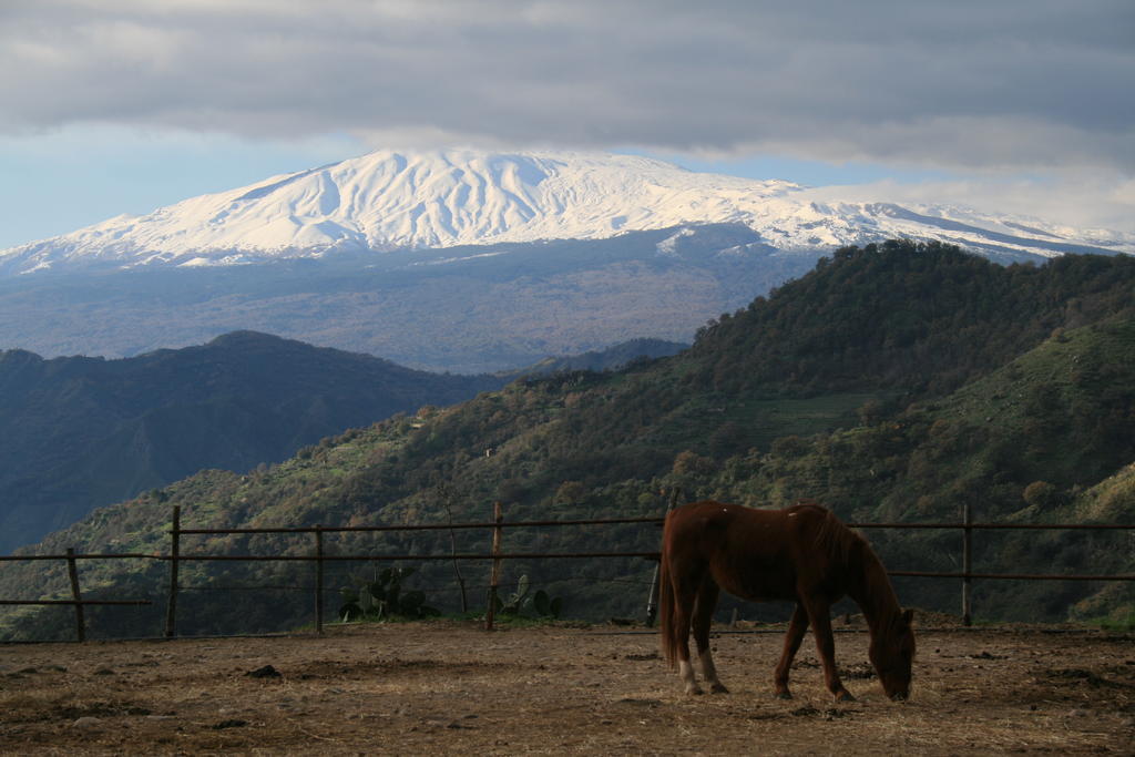 Agriturismo San Cataldo Motta Camastra Екстериор снимка